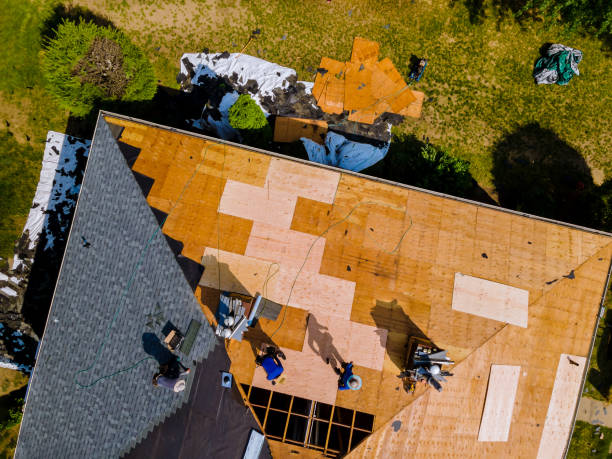 Best Roof Maintenance Services  in Banner Hill, TN