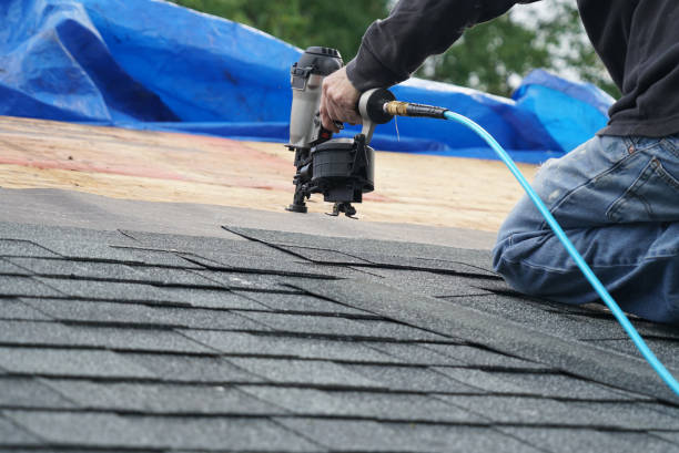 Best Roof Waterproofing Services  in Banner Hill, TN